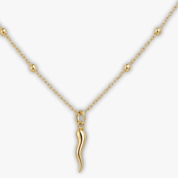 Jewelry - NEW 14K Gold Plated Italian Horn Necklace